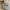 Azur | Charms de Birkenstocks bleus en acier inoxydable