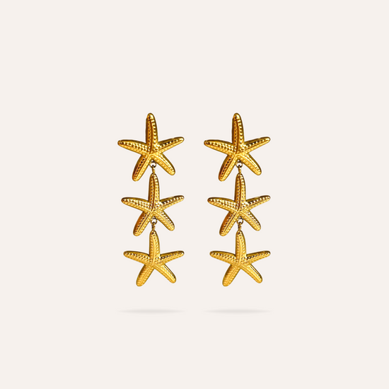 Francesca | Boucles d'oreilles étoile en acier inoxydable