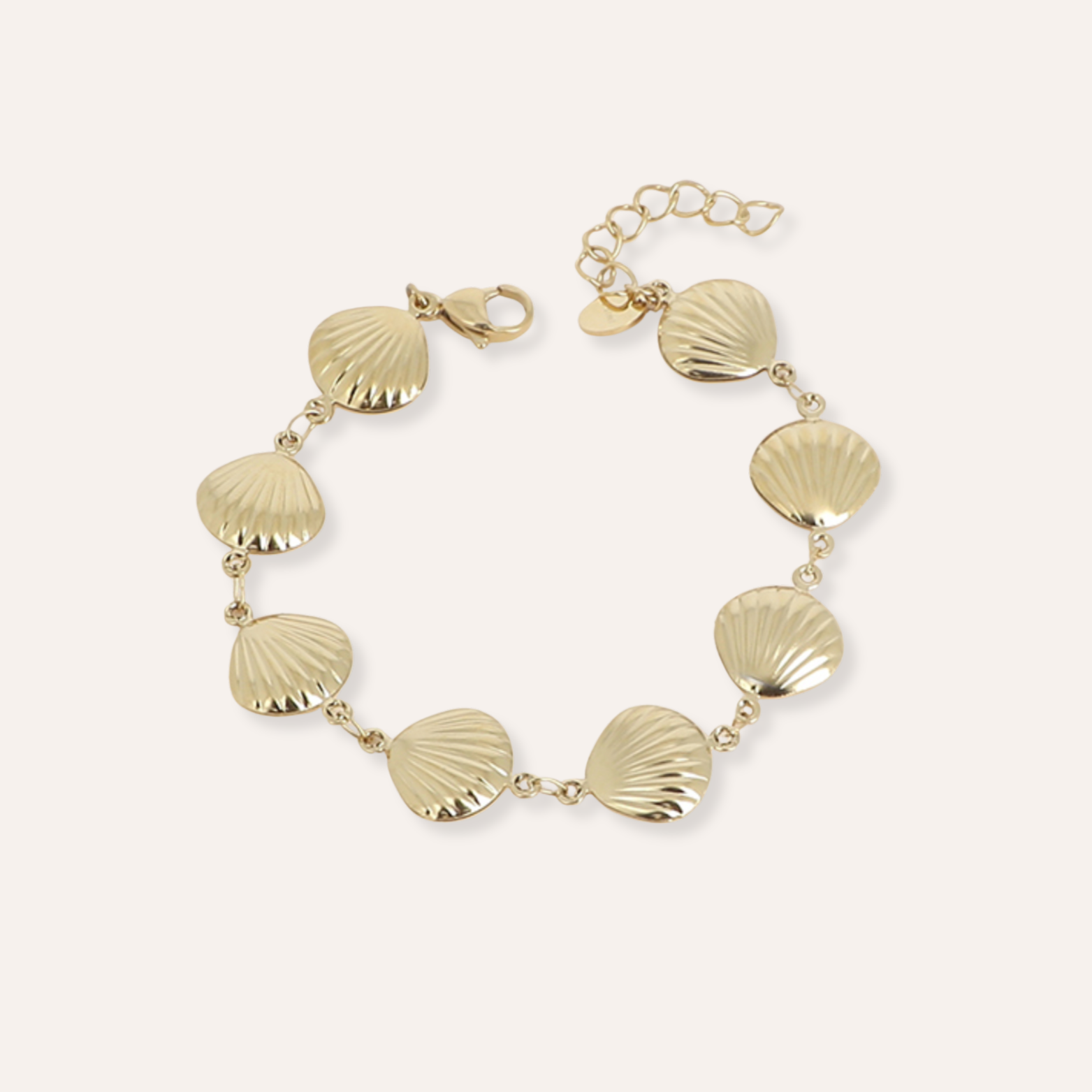 Palmyre | Bracelet coquillages en acier inoxydable